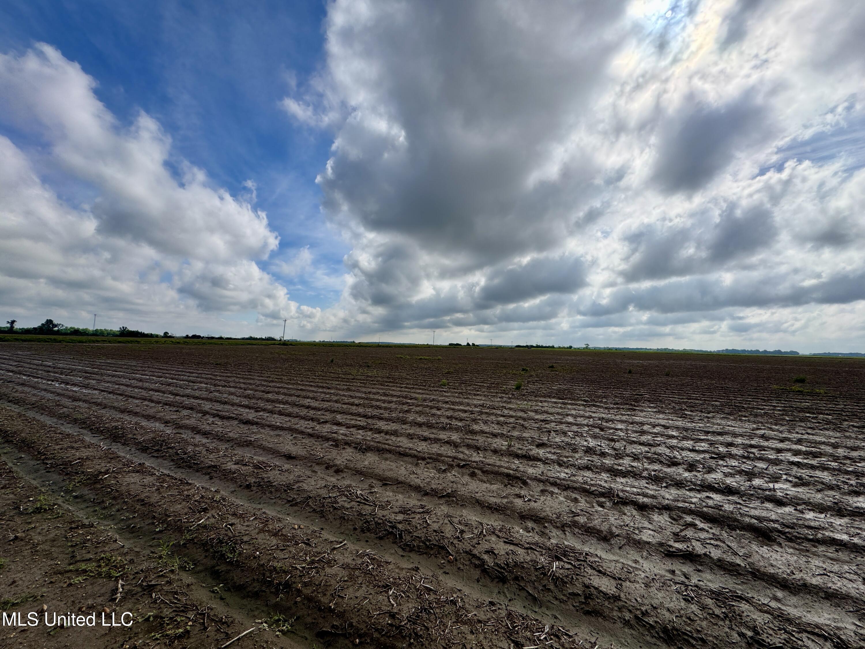 Farrell Road, Clarksdale, Mississippi image 8