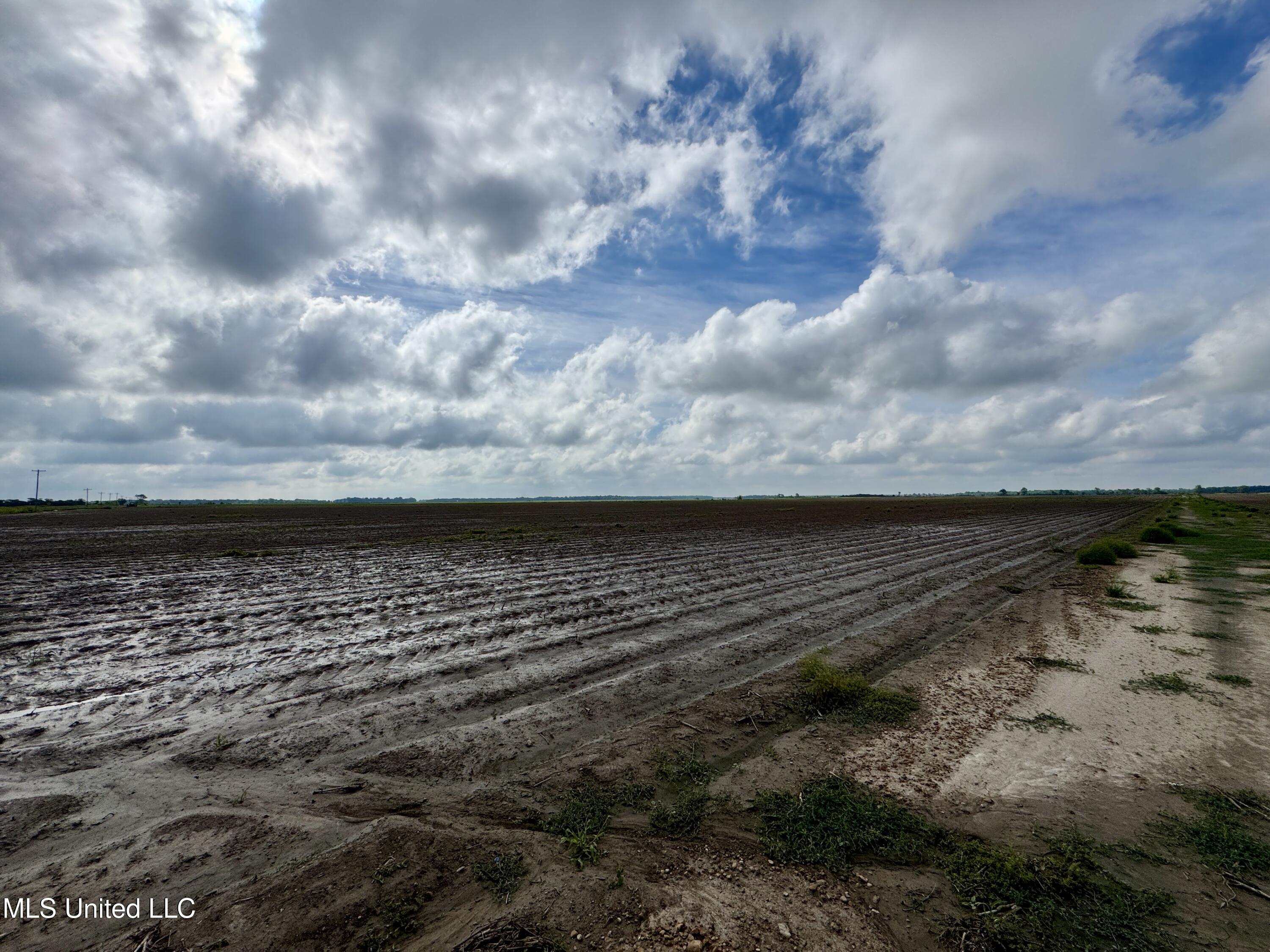 Farrell Road, Clarksdale, Mississippi image 6