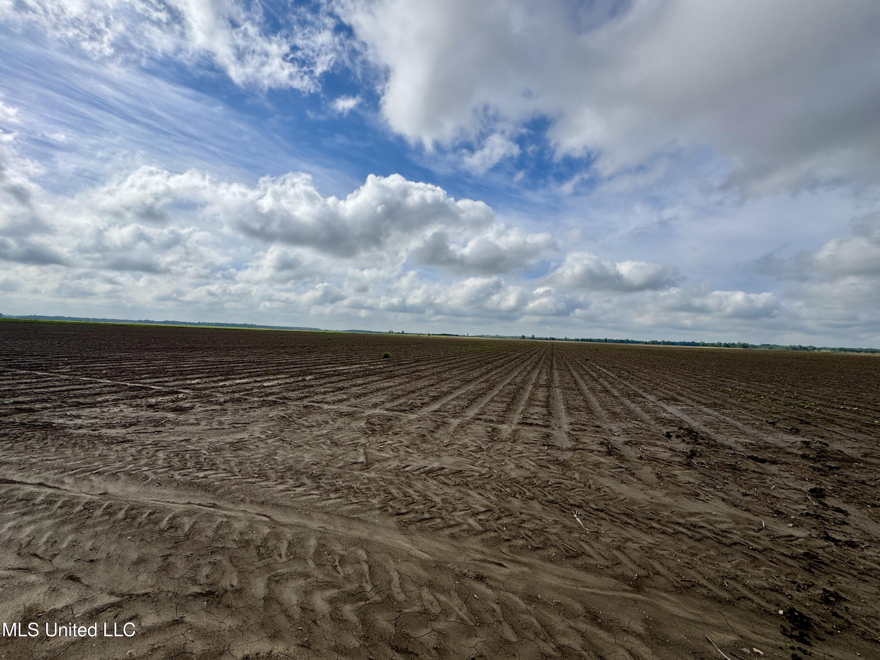 Farrell Road, Clarksdale, Mississippi image 5