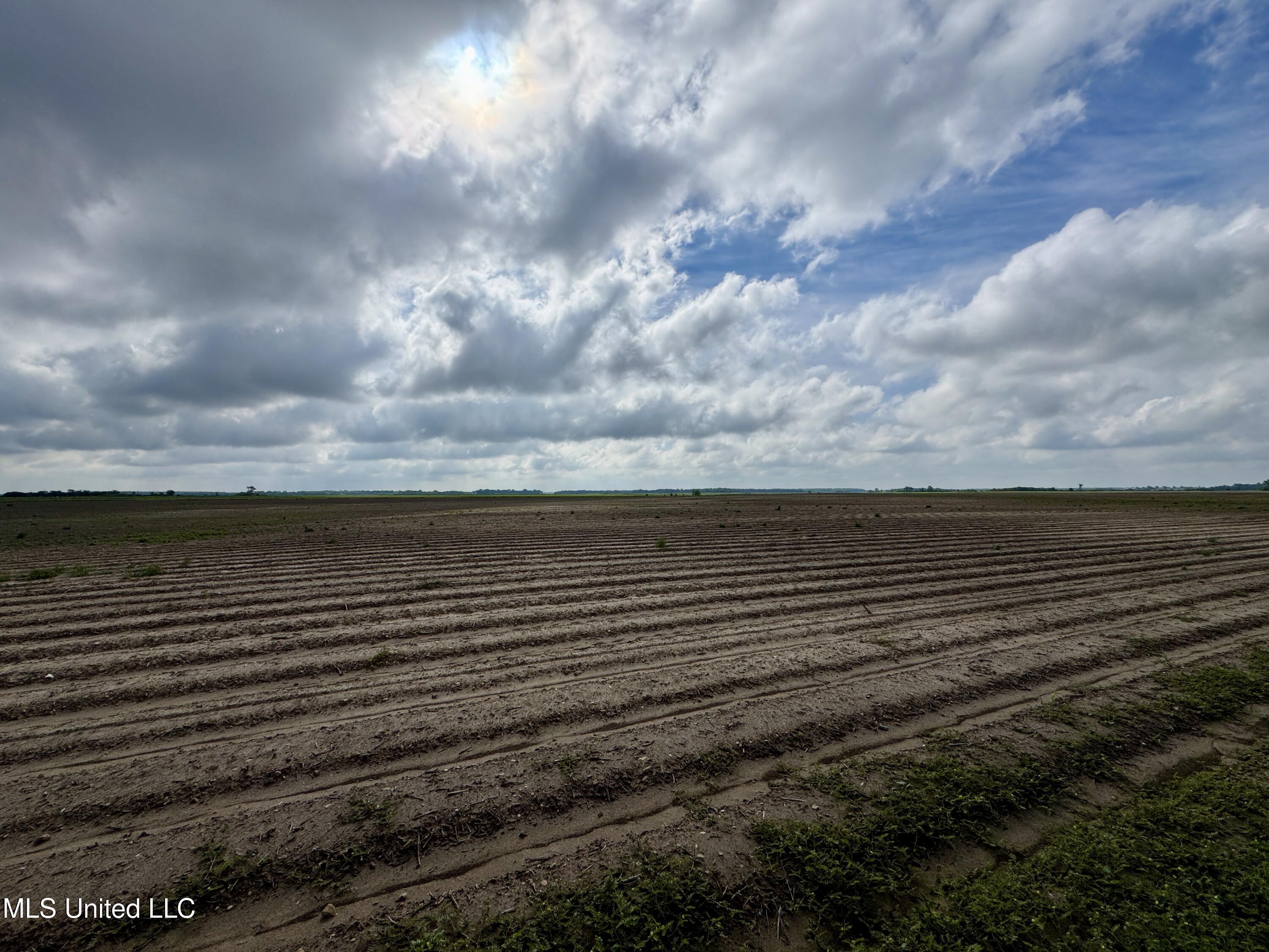 Farrell Road, Clarksdale, Mississippi image 9