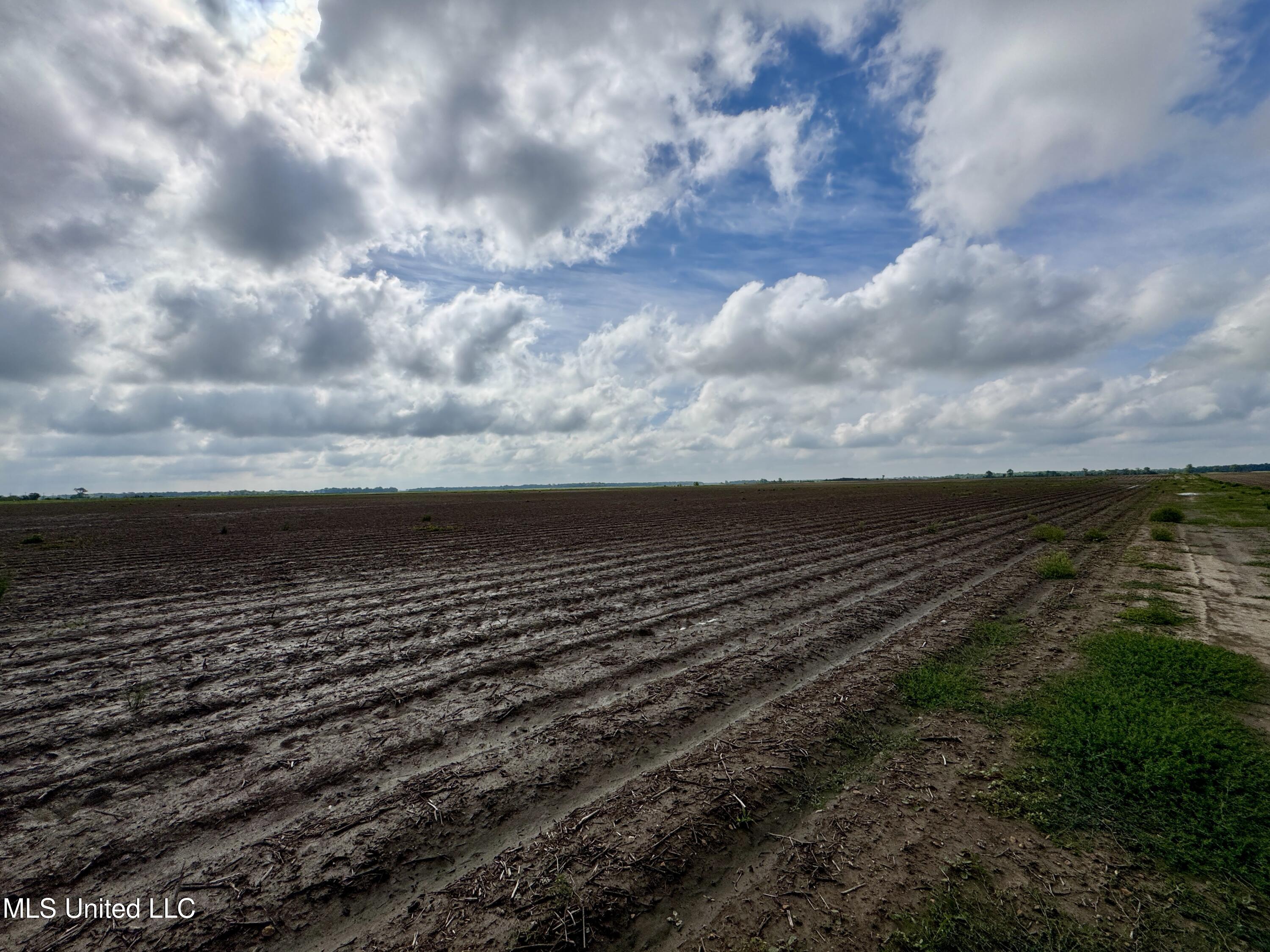 Farrell Road, Clarksdale, Mississippi image 7