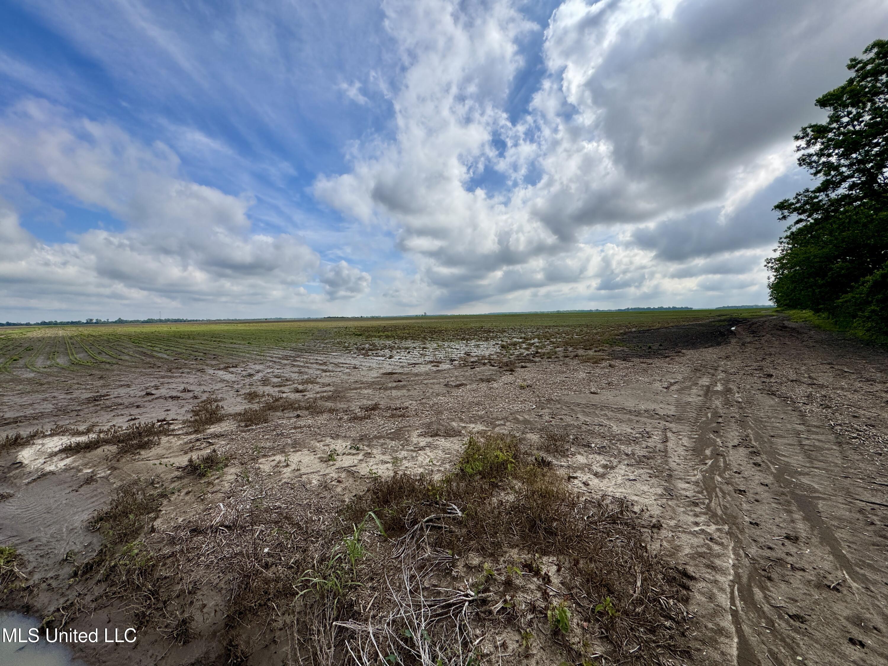 Farrell Road, Clarksdale, Mississippi image 12