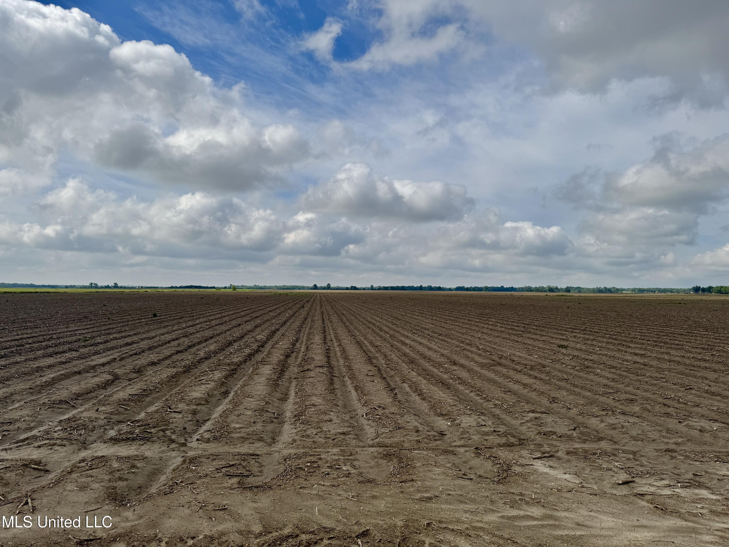 Farrell Road, Clarksdale, Mississippi image 4