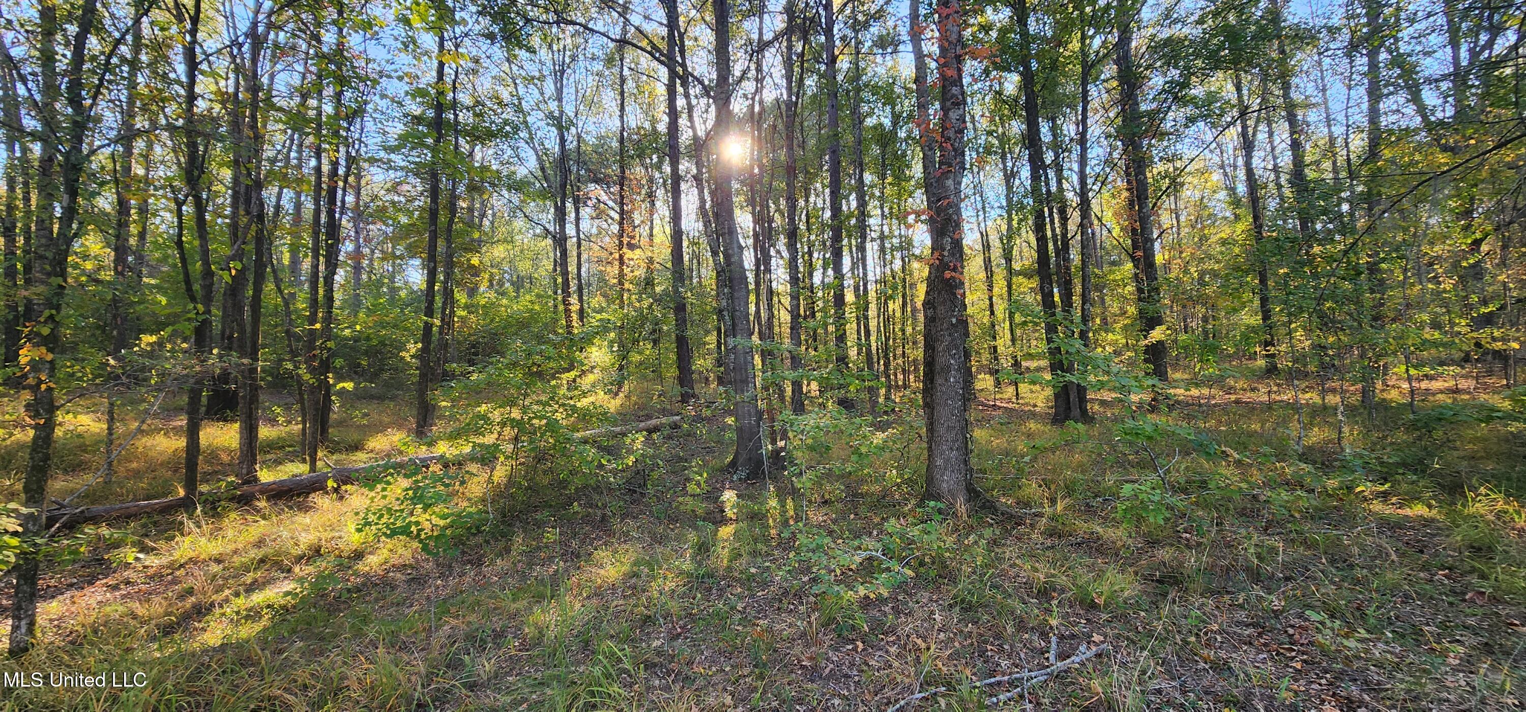 View Pointe Drive, Clinton, Mississippi image 7