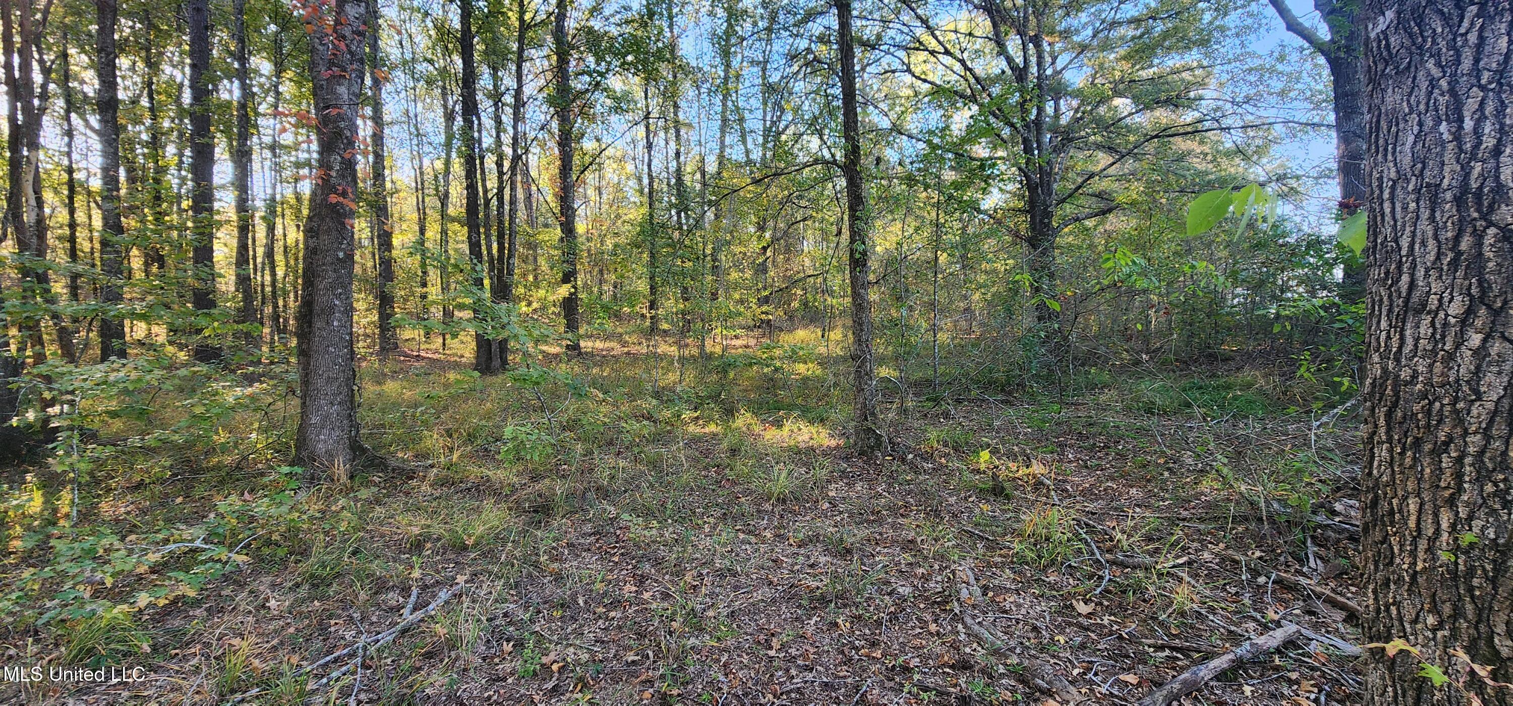 View Pointe Drive, Clinton, Mississippi image 6