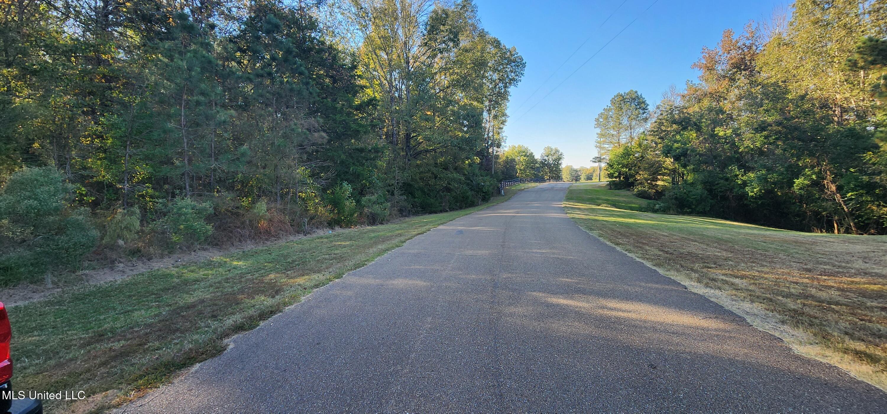 View Pointe Drive, Clinton, Mississippi image 3