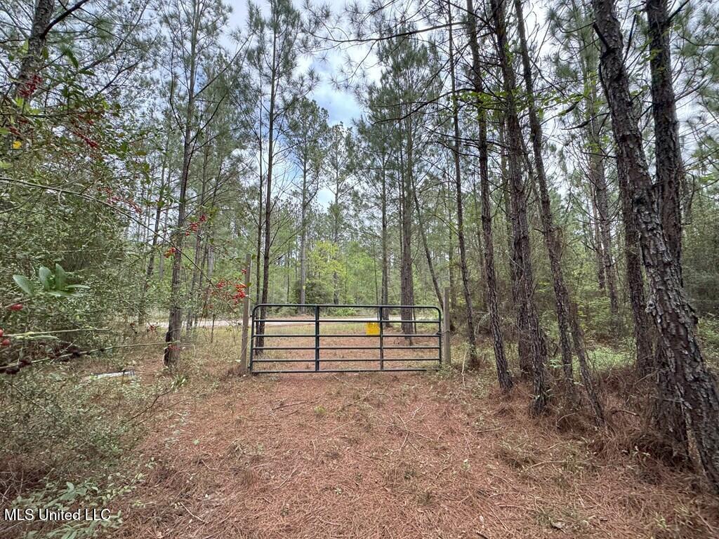Forest Lake Road, Beaumont, Mississippi image 3