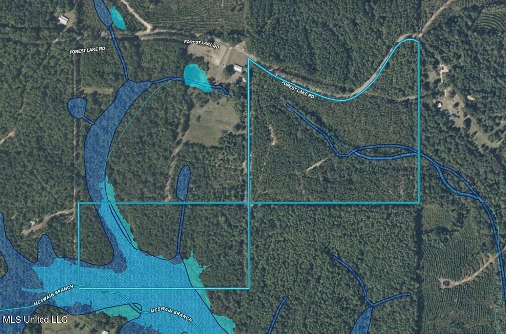 Forest Lake Road, Beaumont, Mississippi image 35