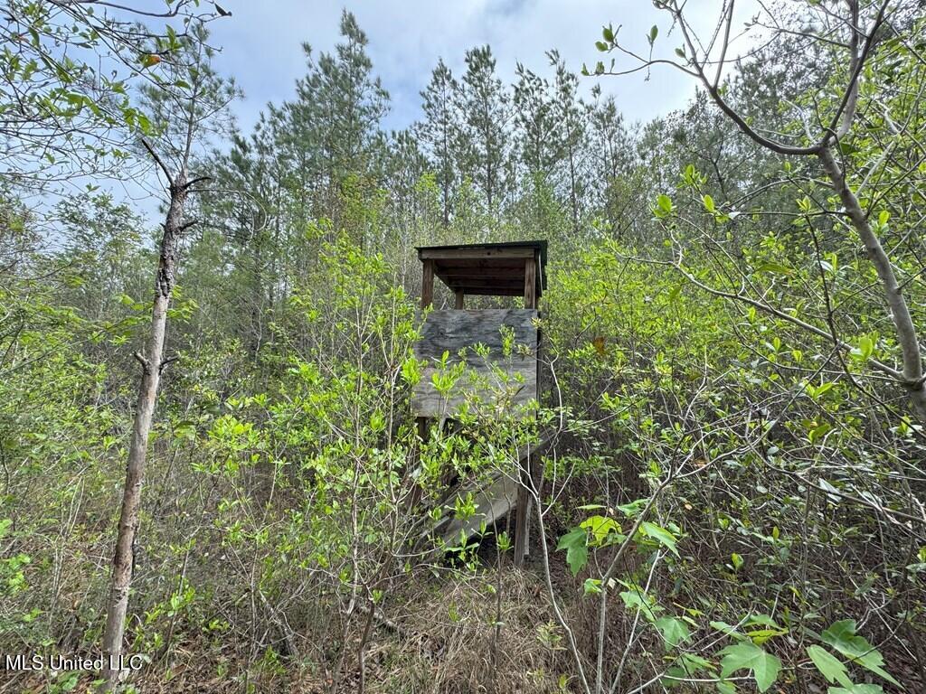 Forest Lake Road, Beaumont, Mississippi image 24