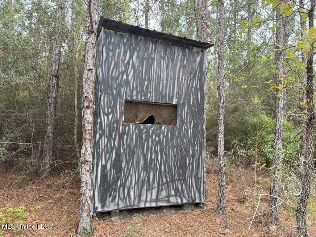 Forest Lake Road, Beaumont, Mississippi image 15