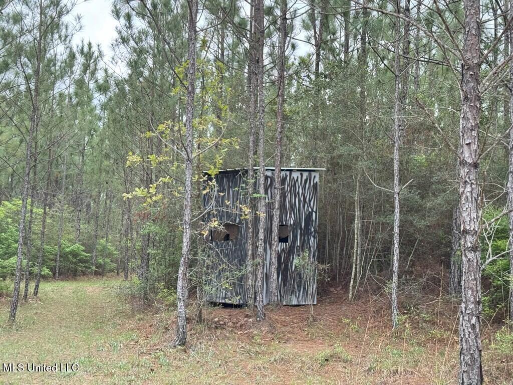 Forest Lake Road, Beaumont, Mississippi image 16