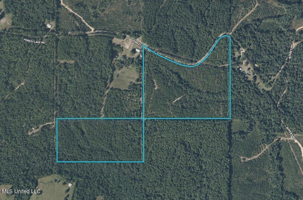 Forest Lake Road, Beaumont, Mississippi image 34