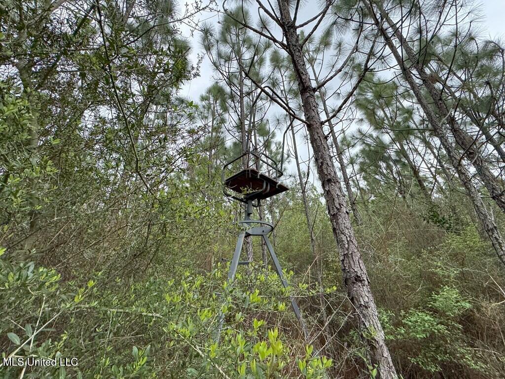 Forest Lake Road, Beaumont, Mississippi image 12
