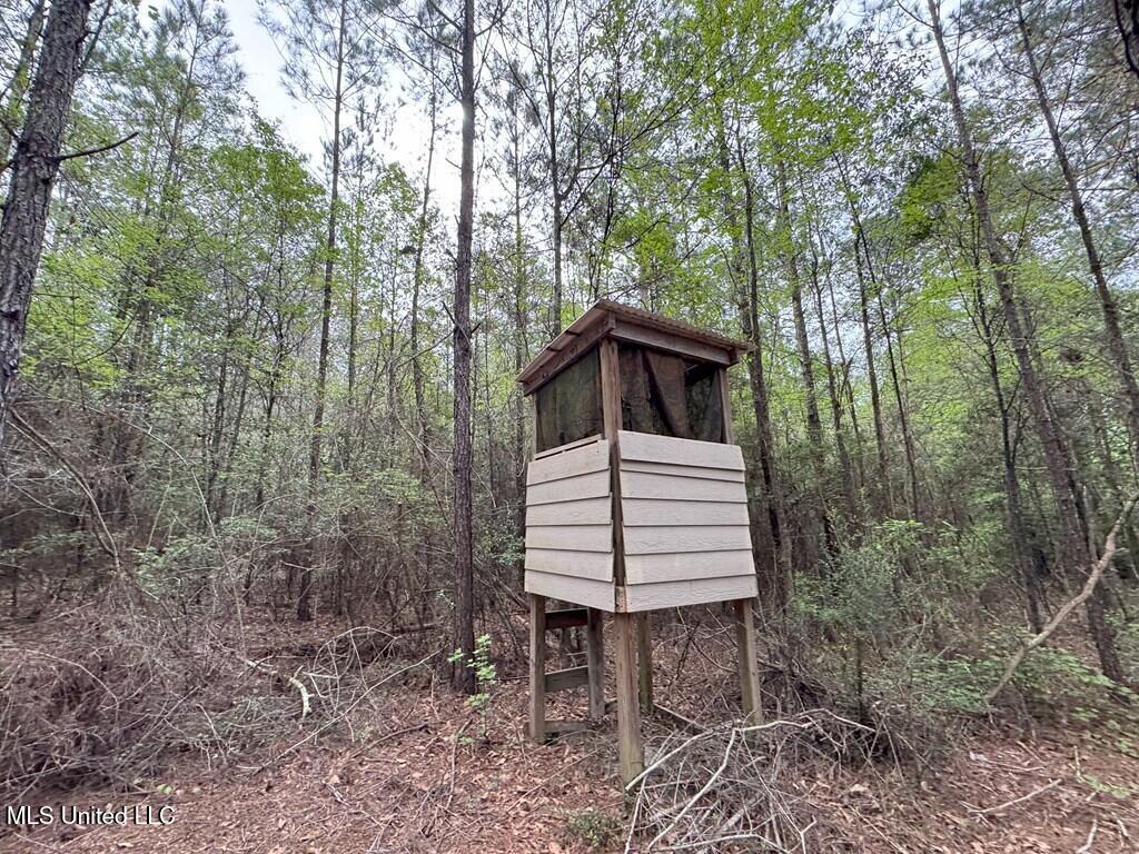 Forest Lake Road, Beaumont, Mississippi image 20