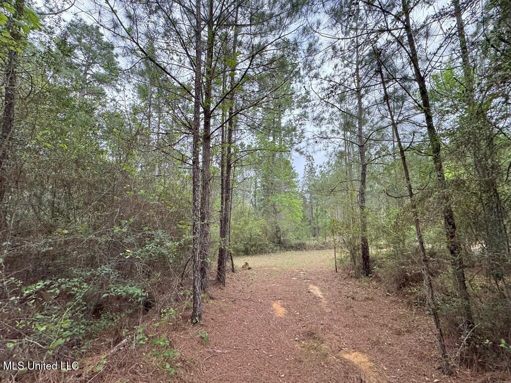Forest Lake Road, Beaumont, Mississippi image 18