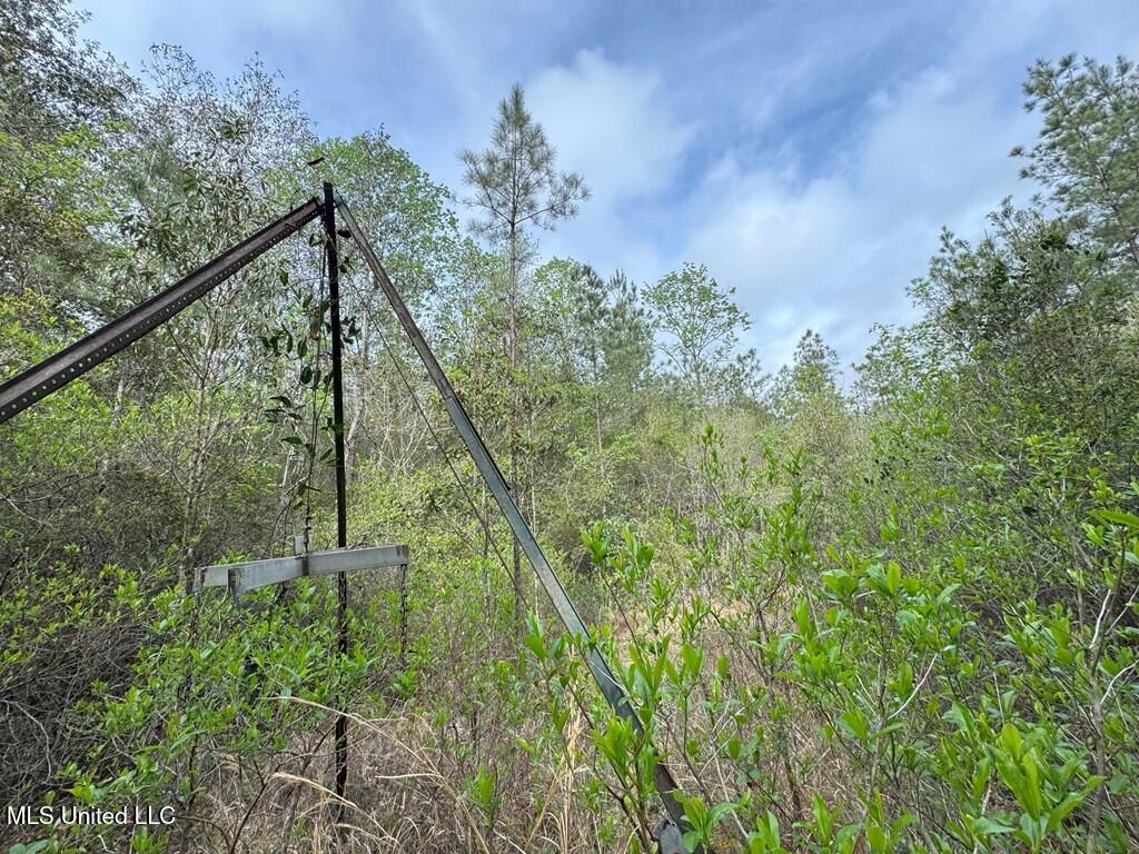 Forest Lake Road, Beaumont, Mississippi image 25