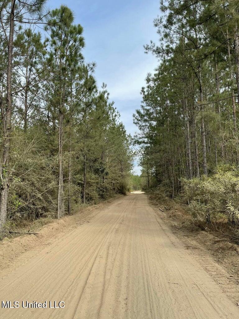 62.5 Acres Texas Flat, Kiln, Mississippi image 12