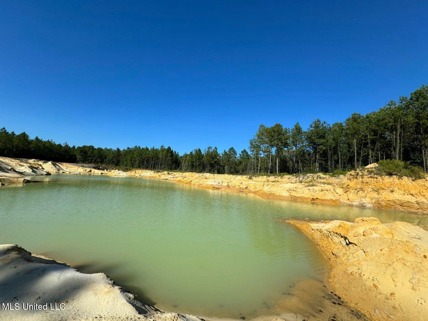 62.5 Acres Texas Flat, Kiln, Mississippi image 2