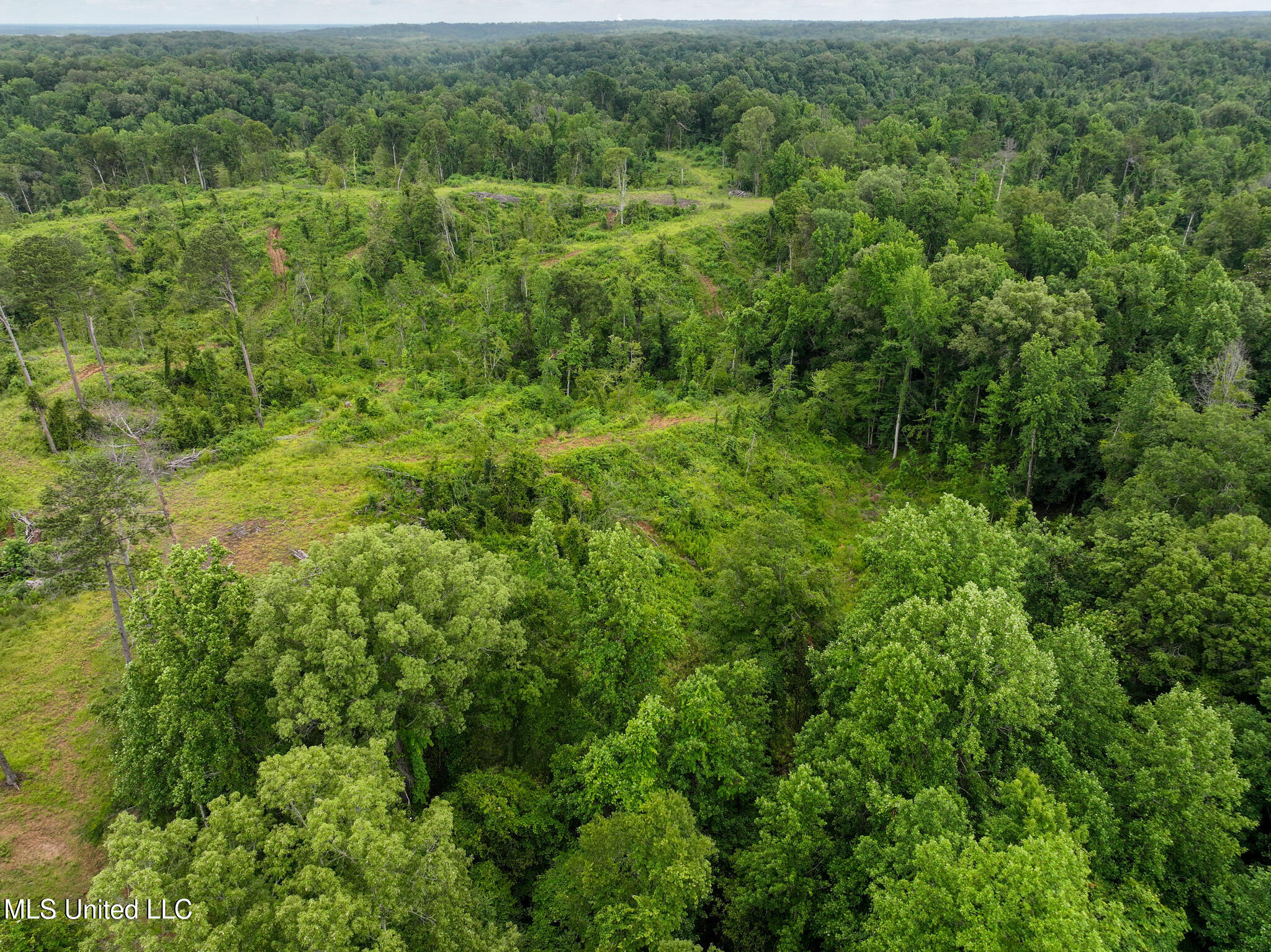 Gowall Road, Vicksburg, Mississippi image 3