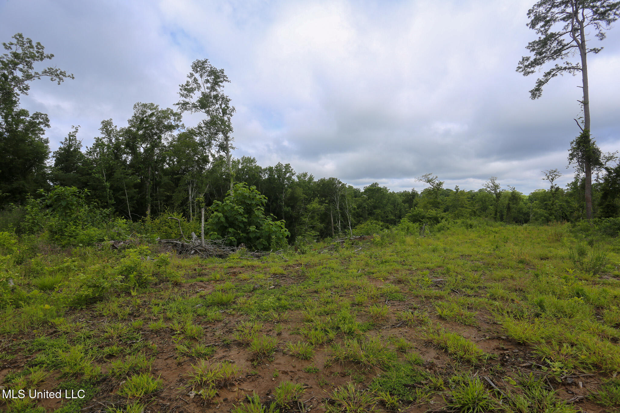 Gowall Road, Vicksburg, Mississippi image 8