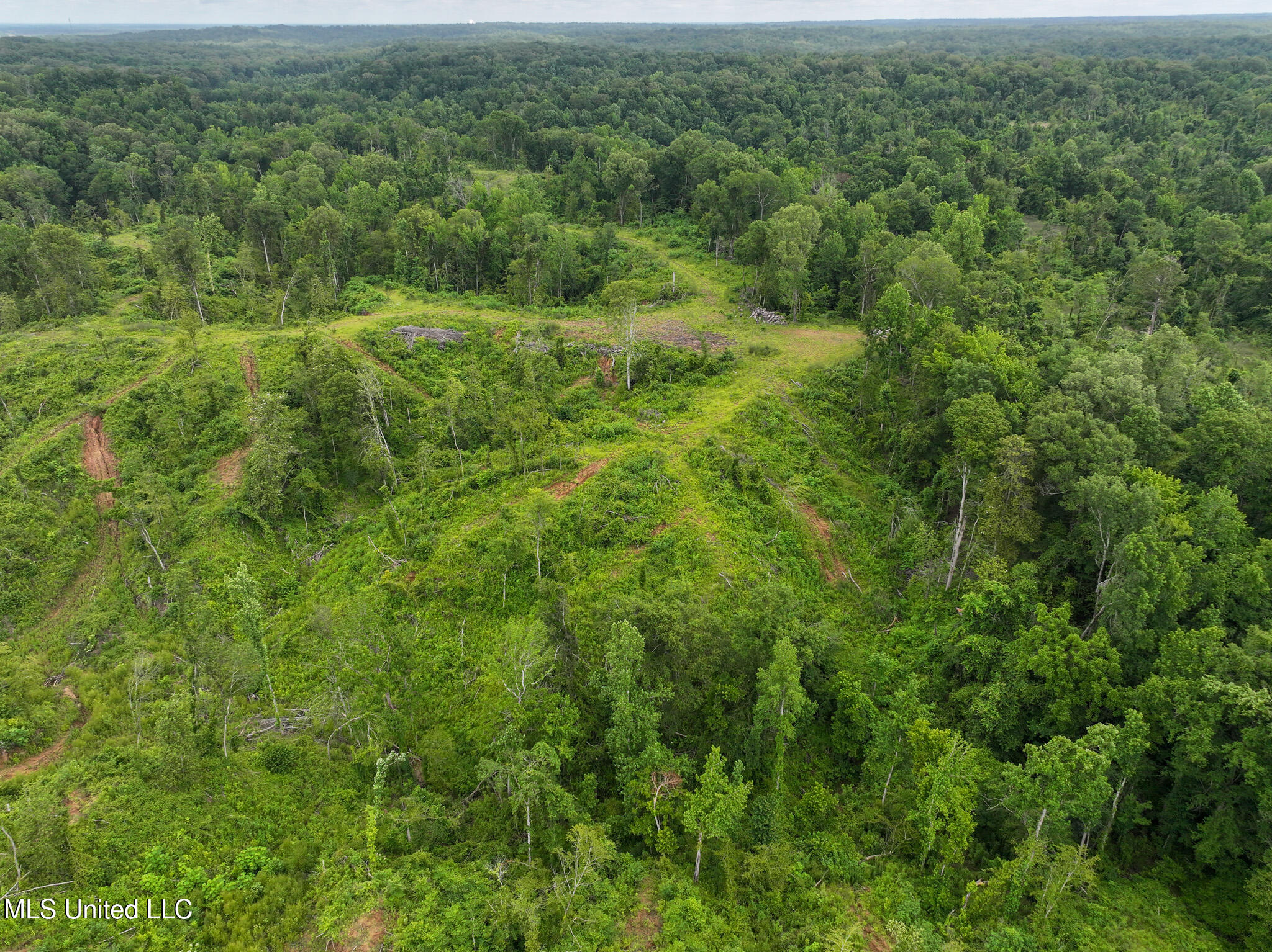 Gowall Road, Vicksburg, Mississippi image 7