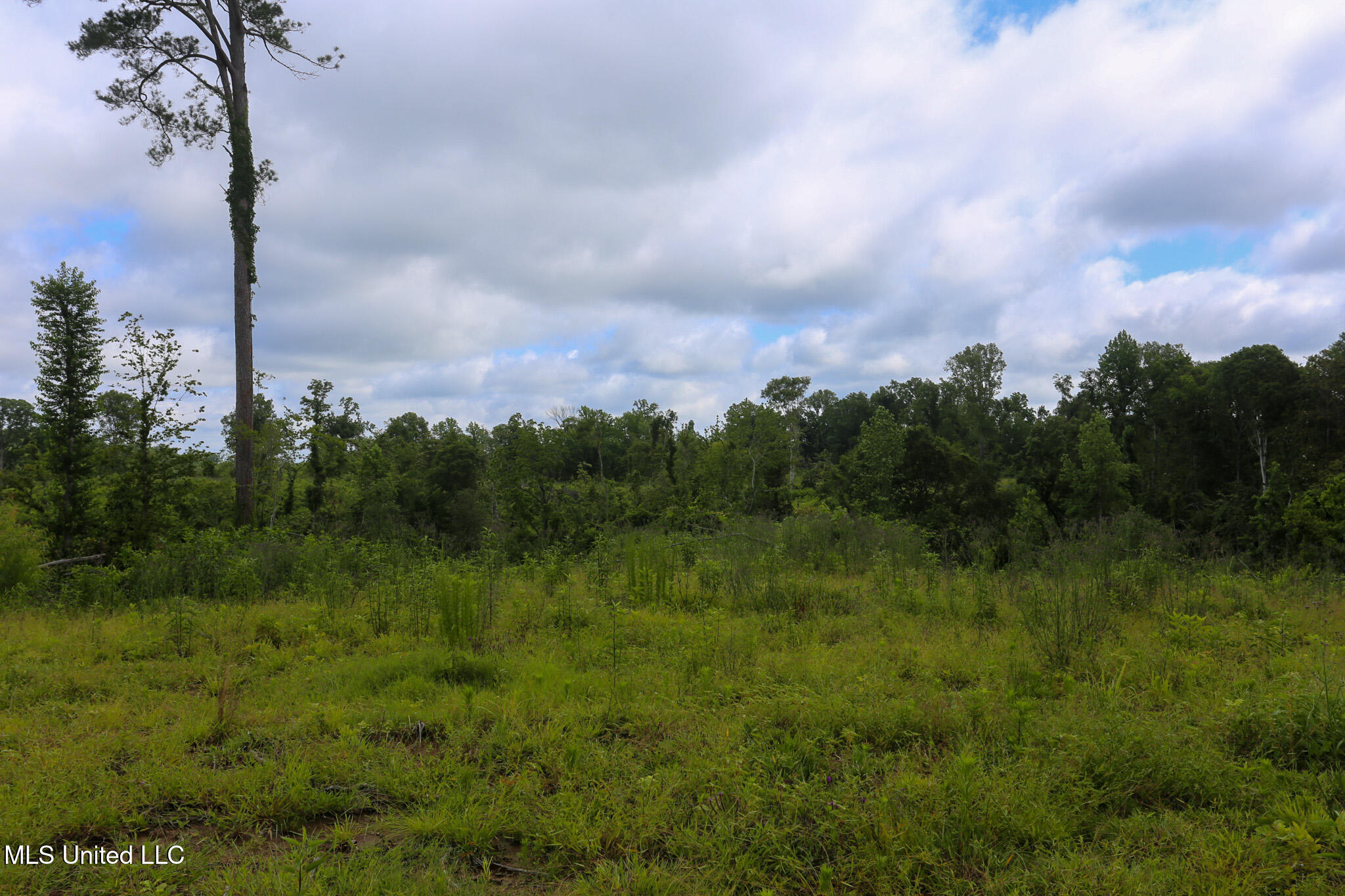 Gowall Road, Vicksburg, Mississippi image 9