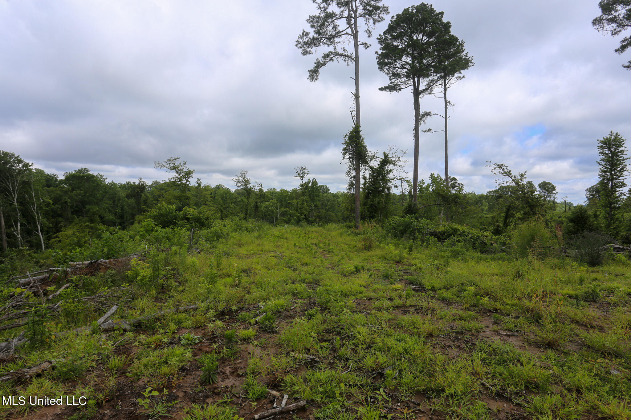 Gowall Road, Vicksburg, Mississippi image 12