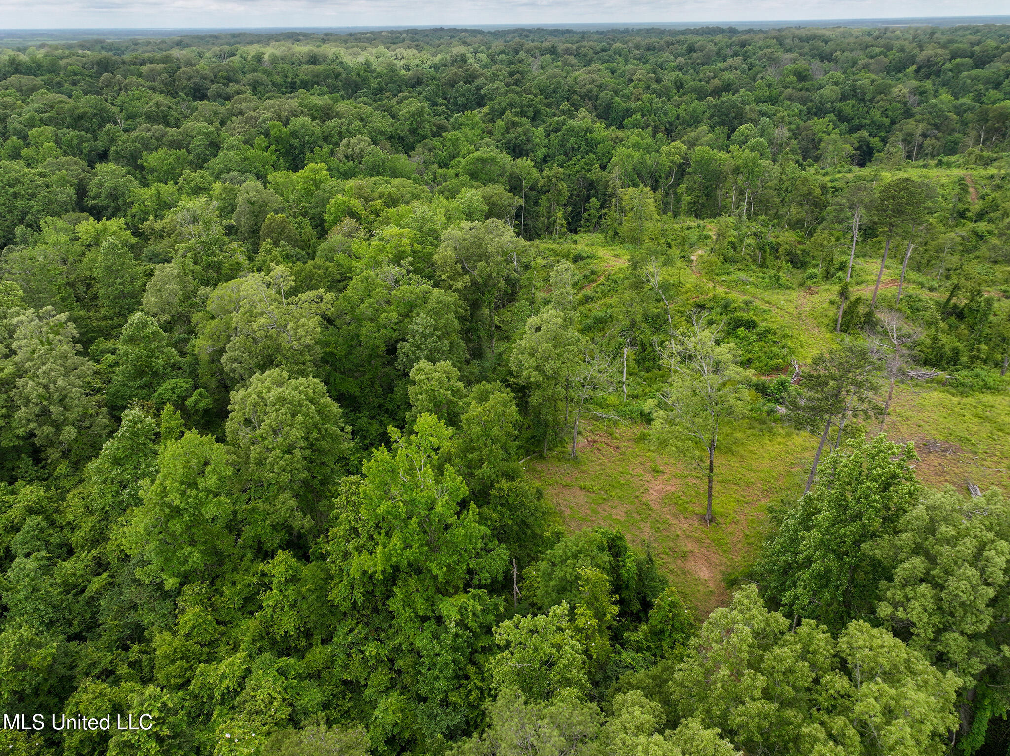 Gowall Road, Vicksburg, Mississippi image 5