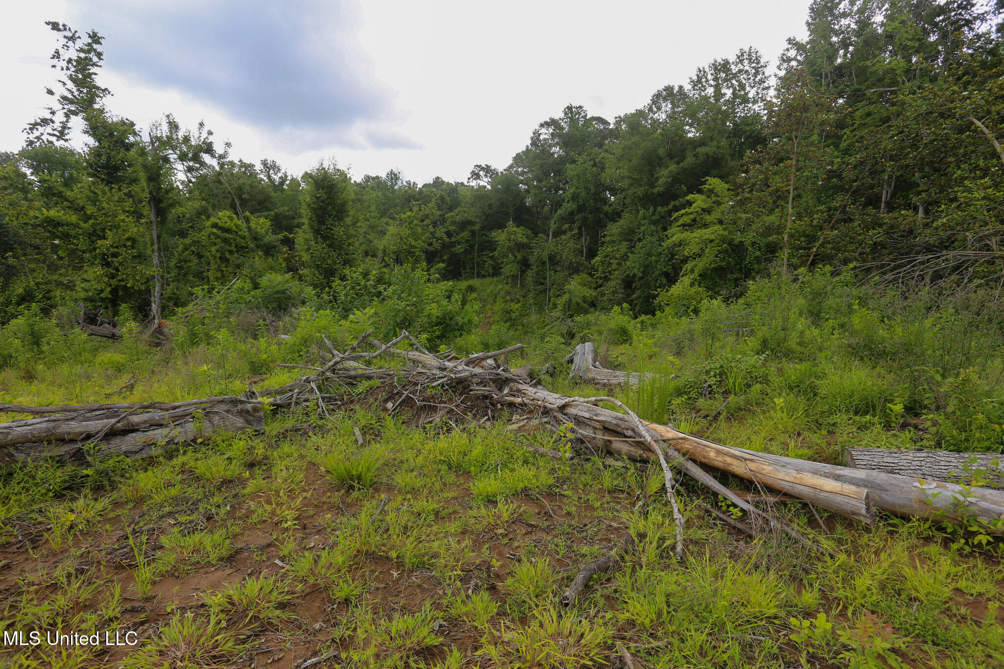 Gowall Road, Vicksburg, Mississippi image 2