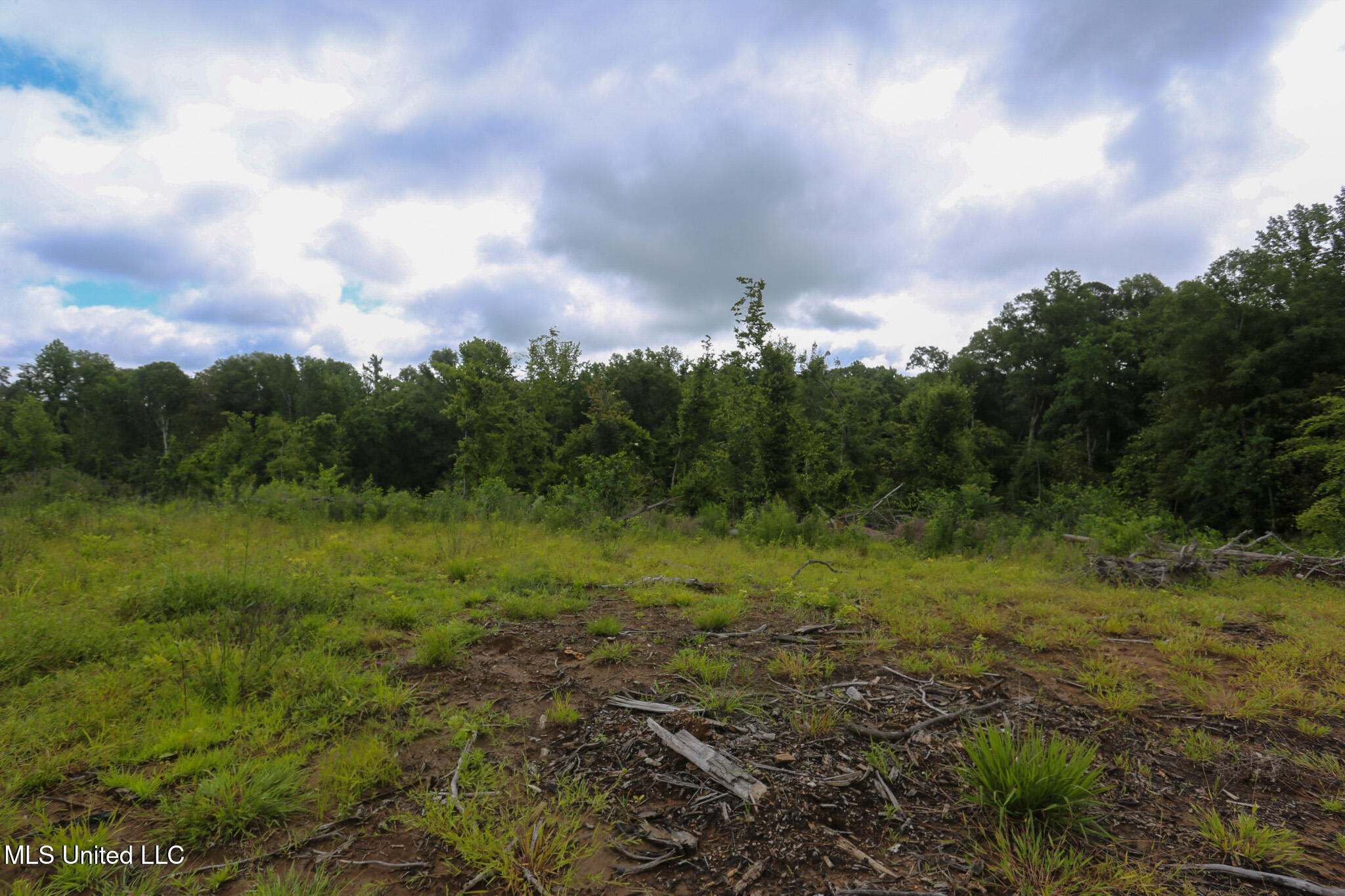 Gowall Road, Vicksburg, Mississippi image 10