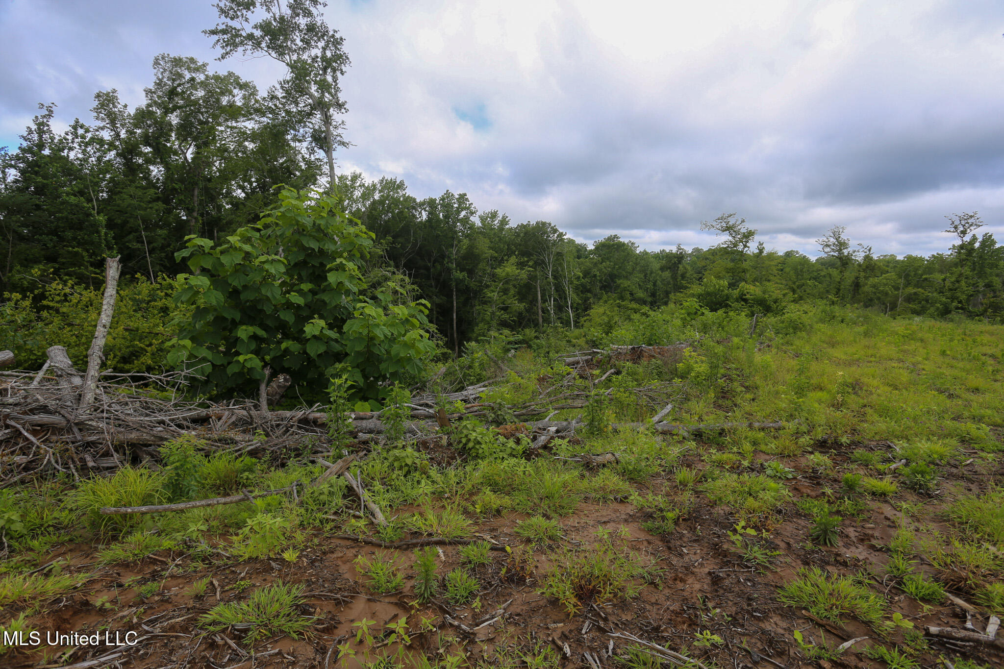 Gowall Road, Vicksburg, Mississippi image 11