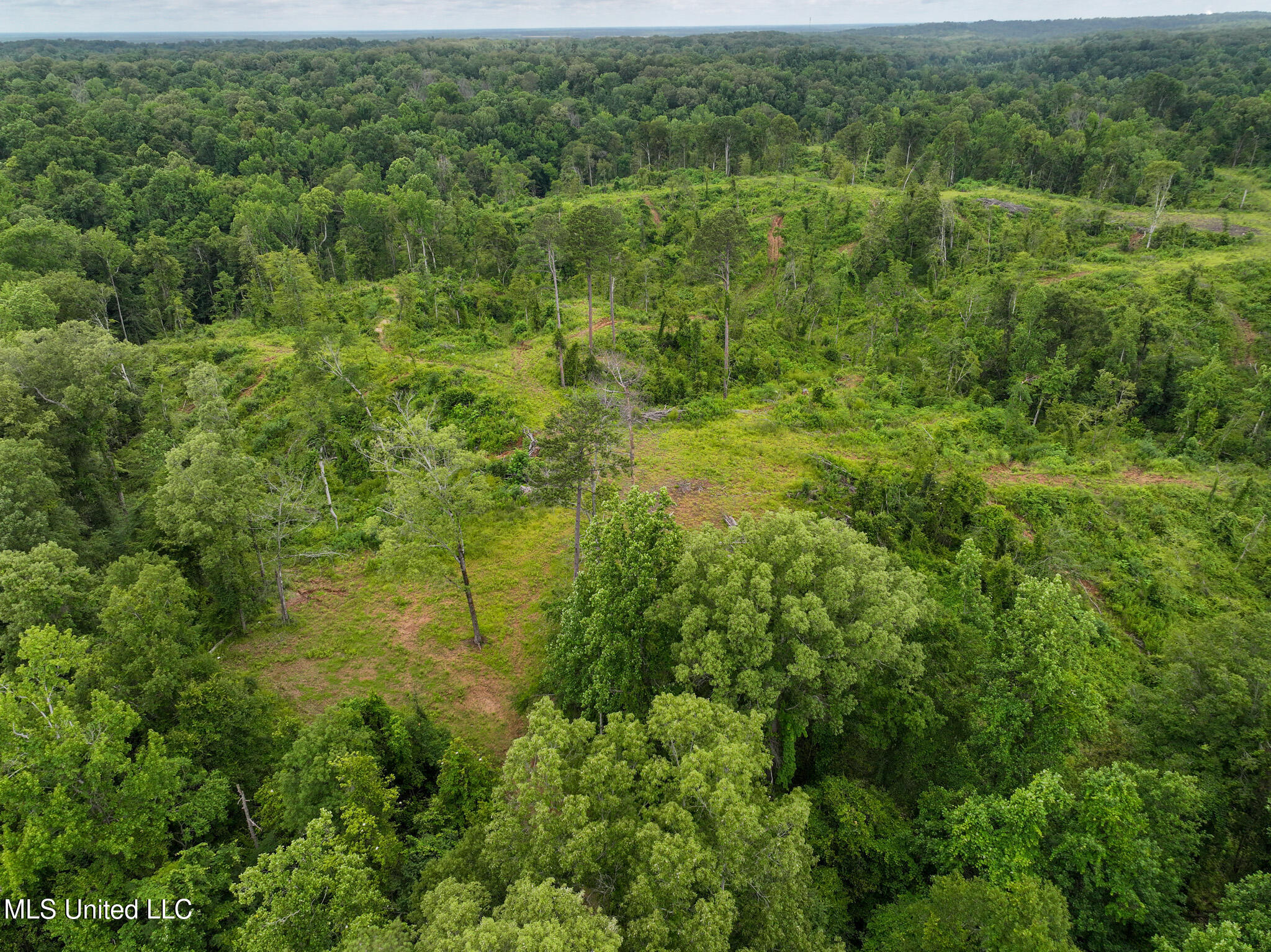 Gowall Road, Vicksburg, Mississippi image 4