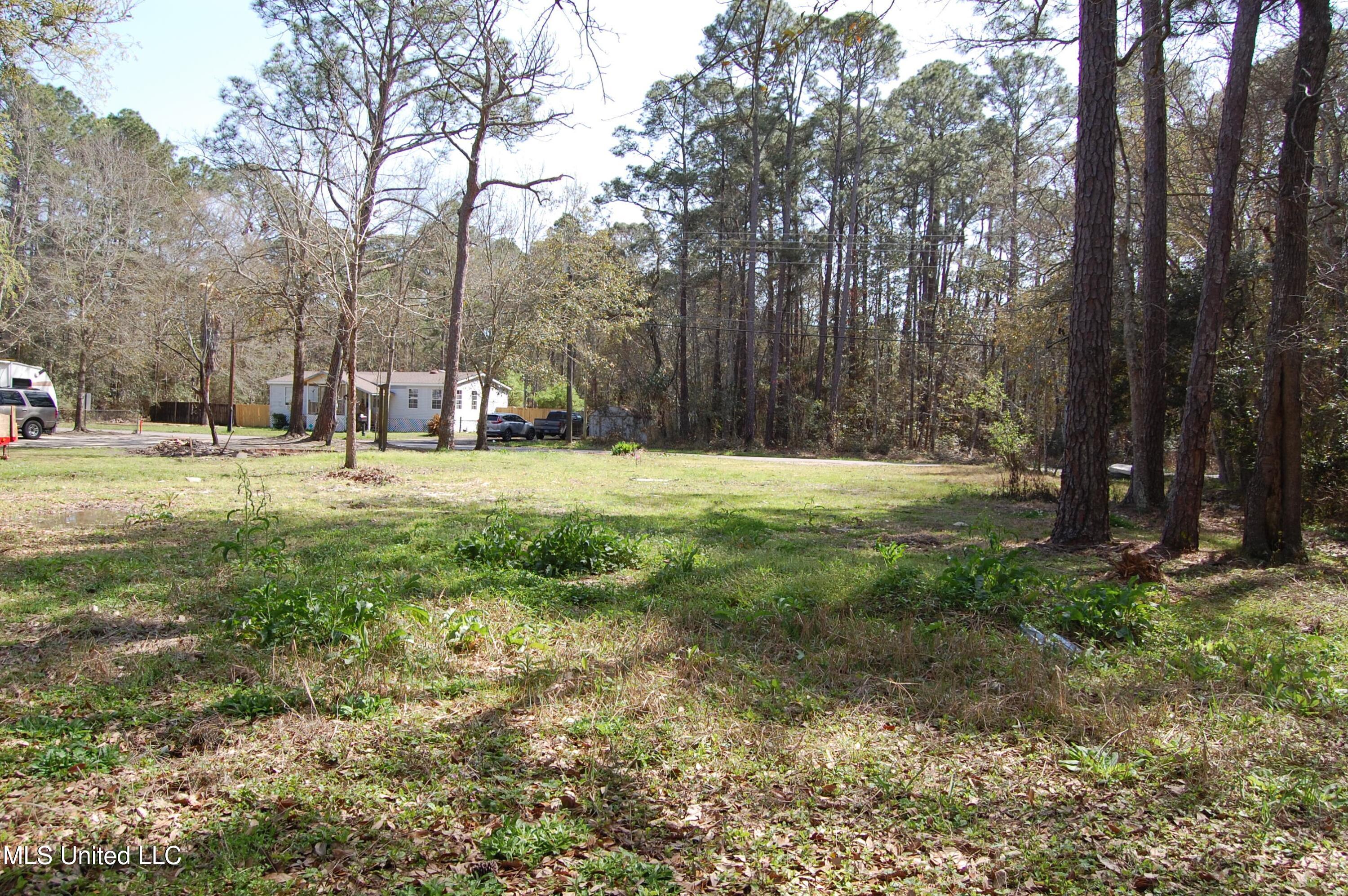 8420 Elm Avenue, Ocean Springs, Mississippi image 3