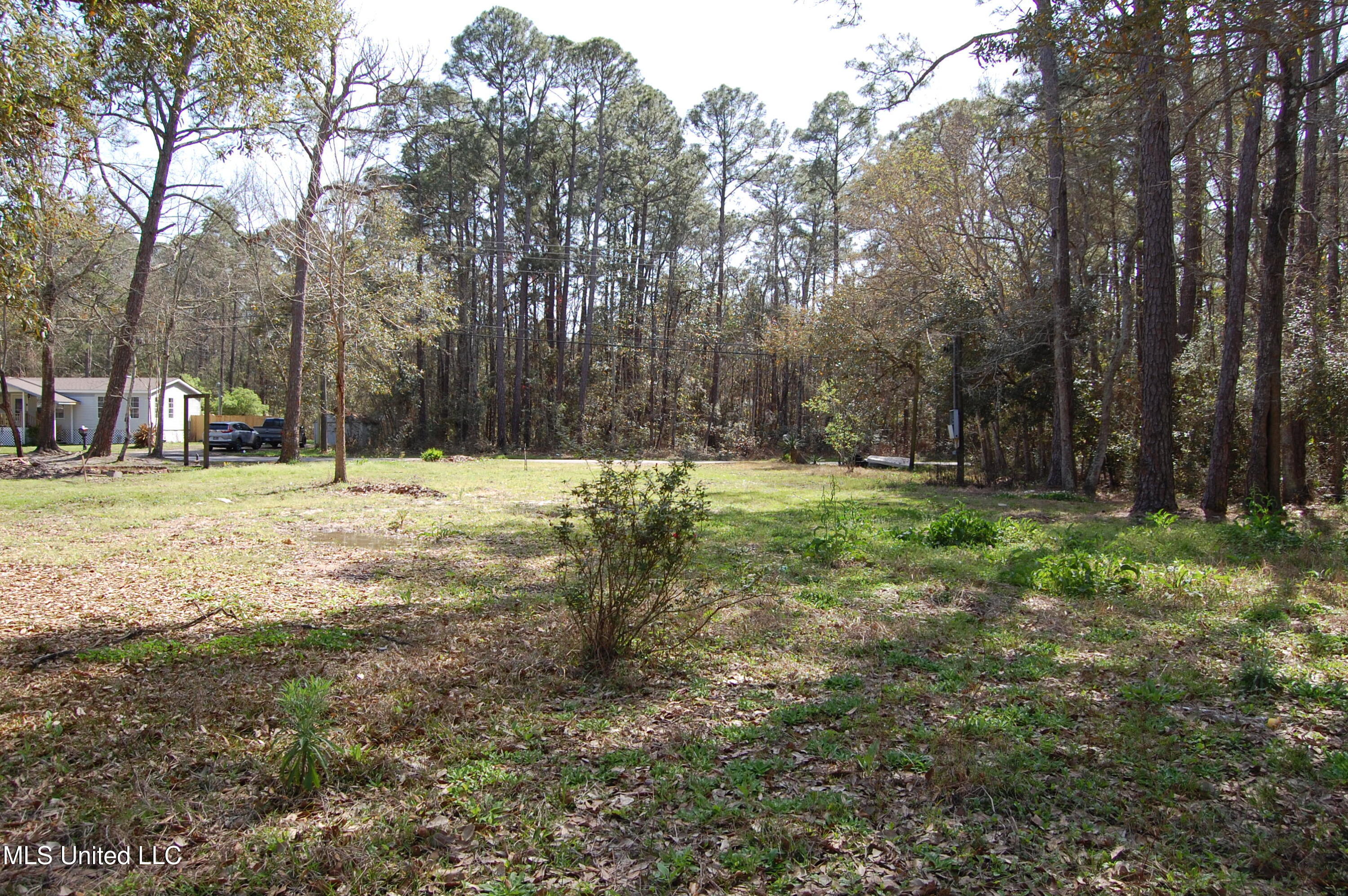 8420 Elm Avenue, Ocean Springs, Mississippi image 4