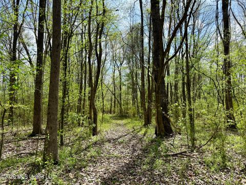 Vacant Land For Sale - Duram Road<br/> Olive Branch, MS 38654