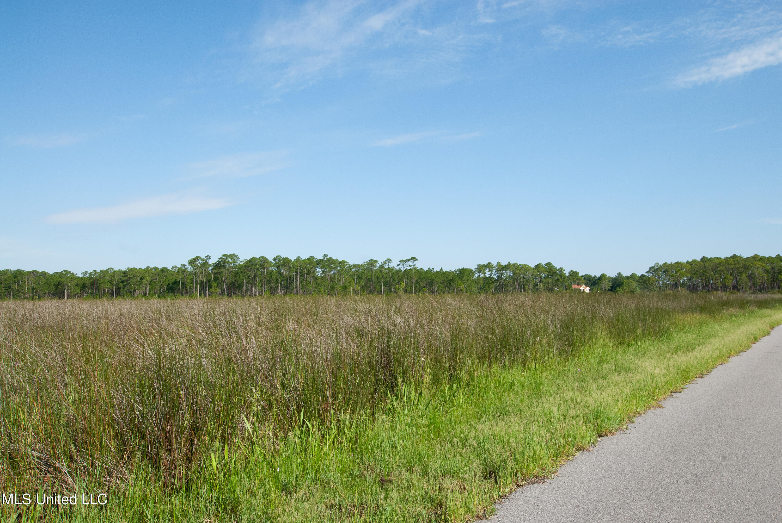 Grand Bature Road, Pascagoula, Mississippi image 2