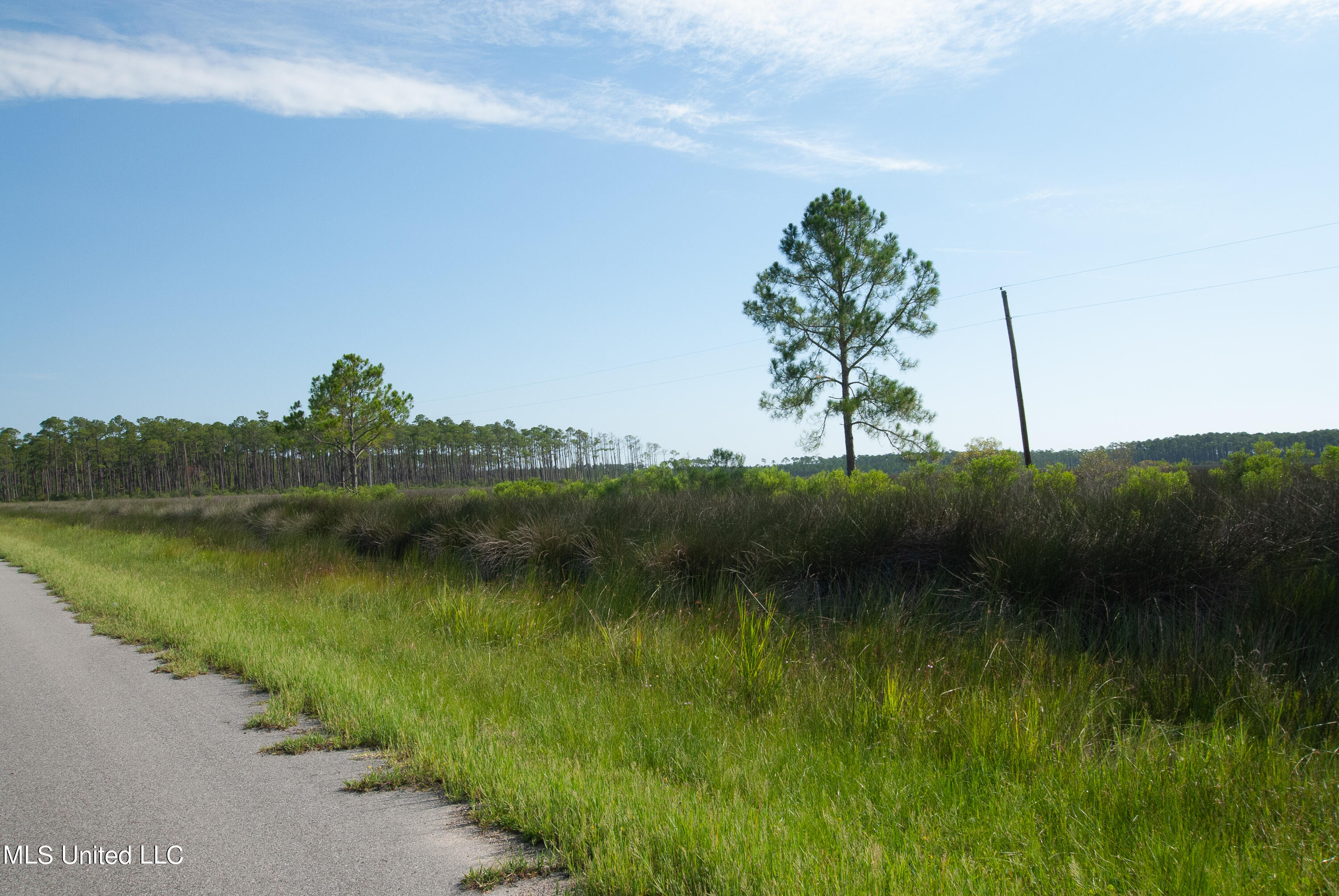 Grand Bature Road, Pascagoula, Mississippi image 3