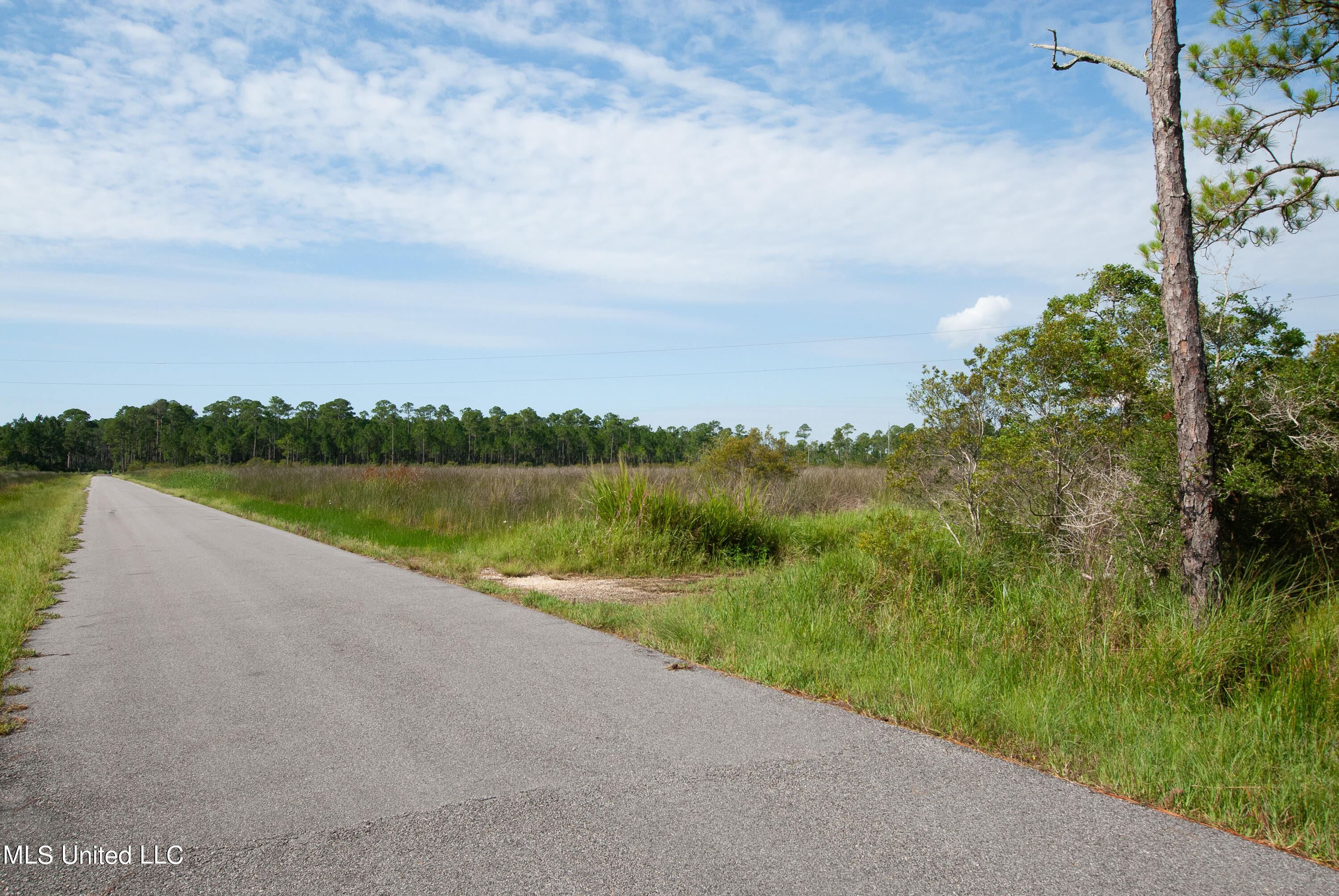 Grand Bature Road, Pascagoula, Mississippi image 7