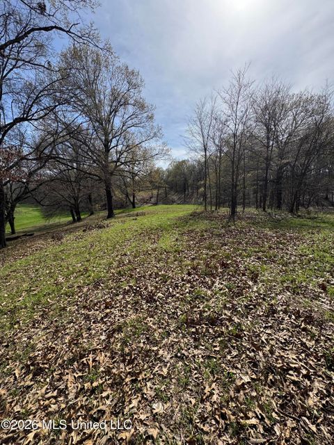 Vacant Land For Sale - Green River Road<br/> Lake Cormorant, MS 38641