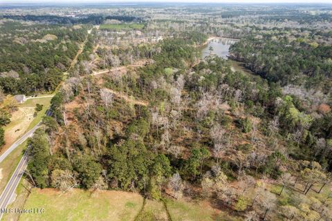 Vacant Land For Sale - LOT 1 Bridgewater Subdivision<br/> Lamar County, Sumrall, MS 39482