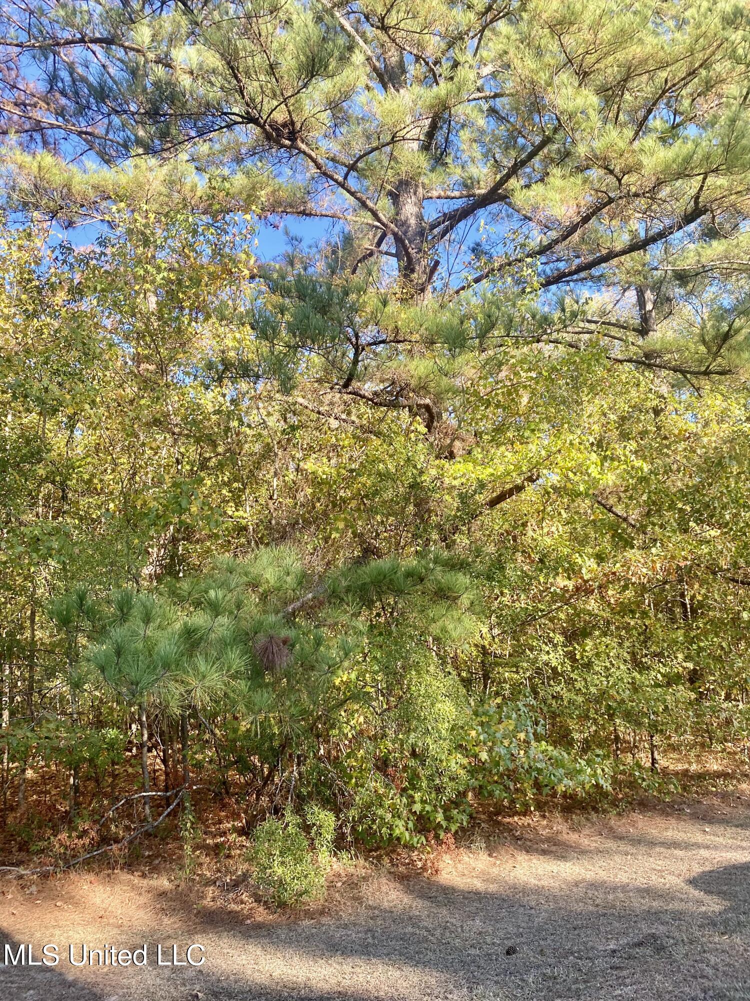 00 Little Creek Road, Flowood, Mississippi image 3