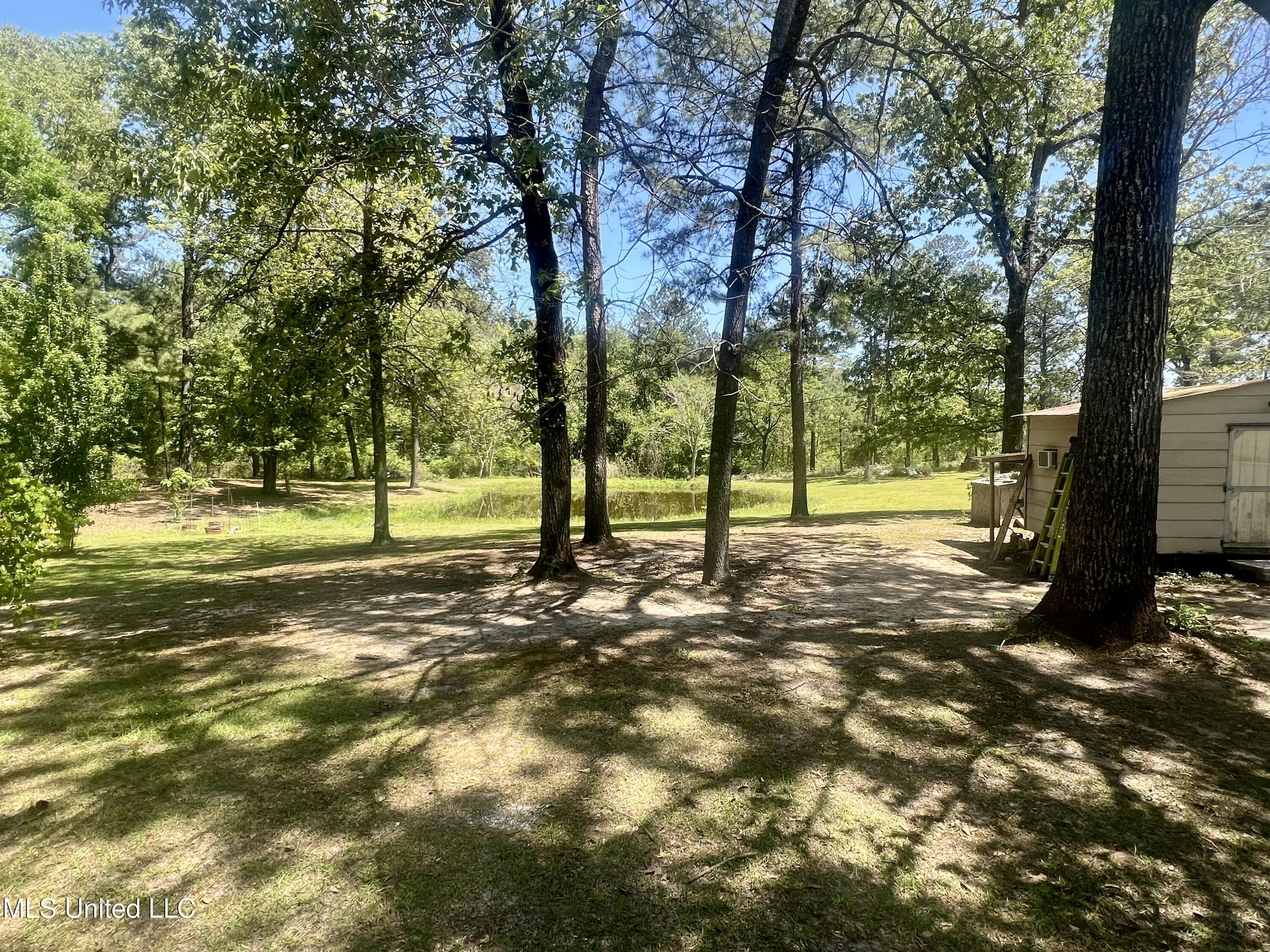 517 Dunnam Road, Leakesville, Mississippi image 19