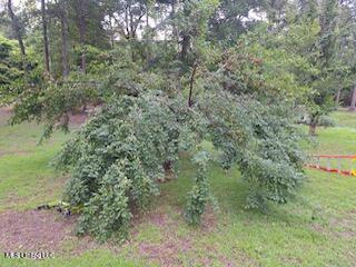 517 Dunnam Road, Leakesville, Mississippi image 23