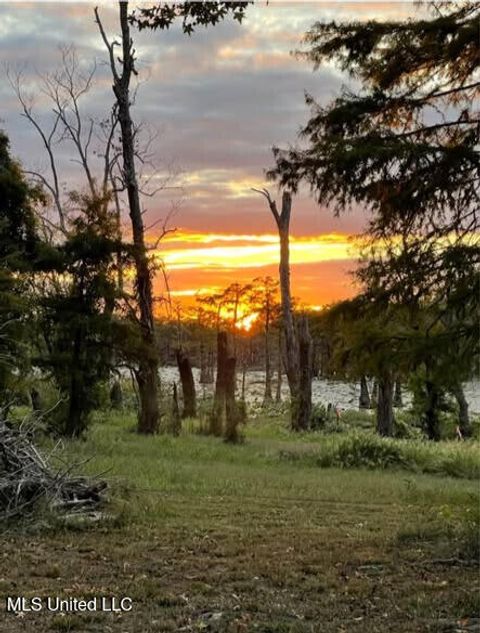 Vacant Land For Sale - 1743 The Rocks Road Road<br/> Wilkinson County, Woodville, MS 39669