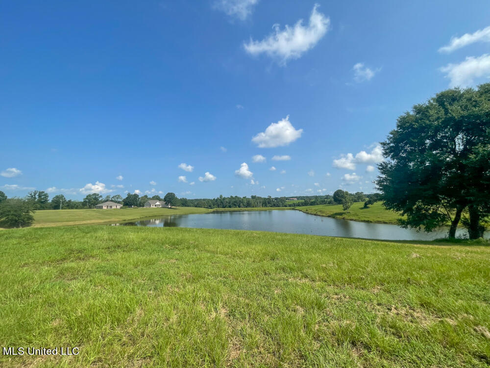 Lot 11 Conner Stringer Drive, Lucedale, Mississippi image 46