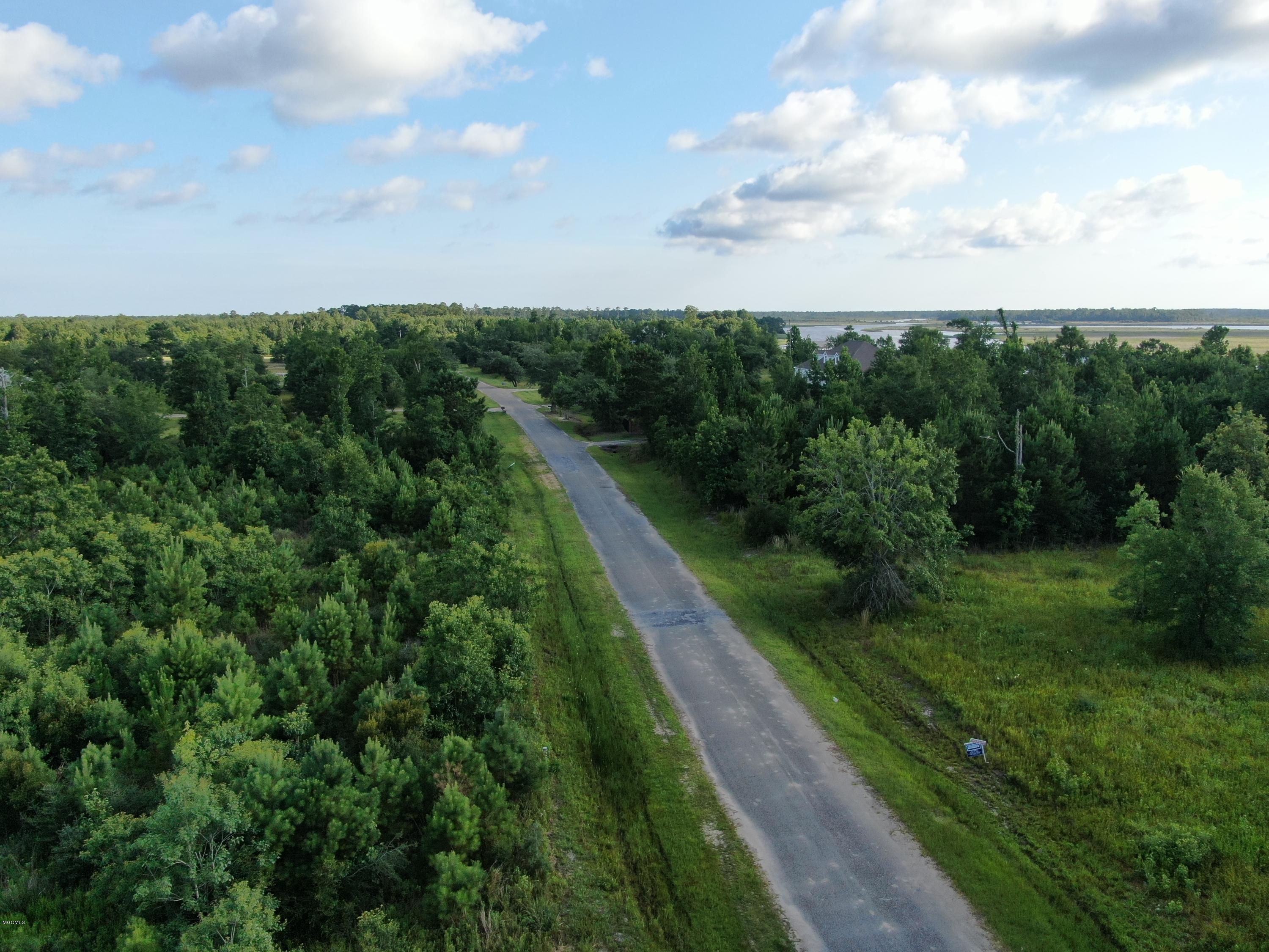 Jourdan Bluff Drive, Kiln, Mississippi image 5