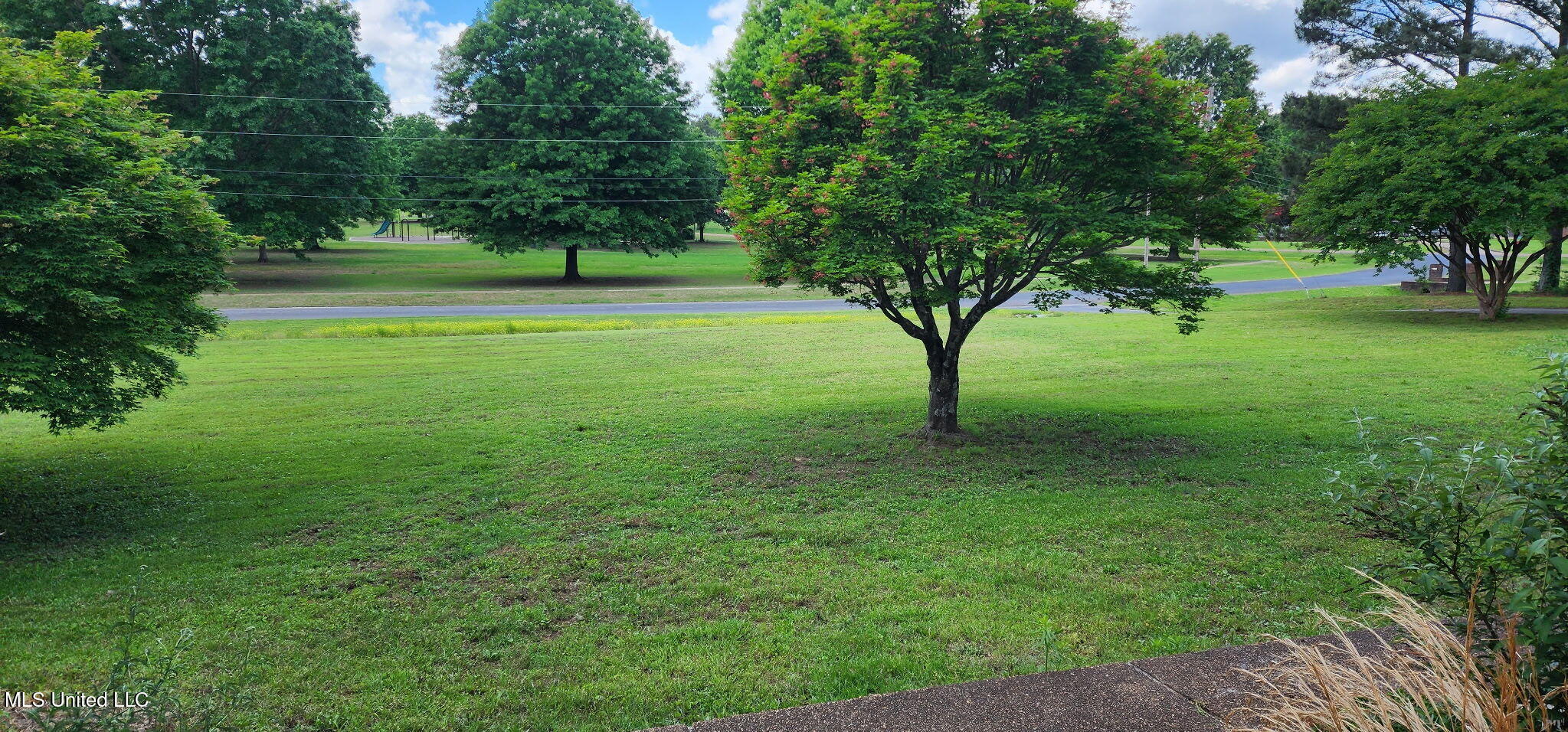 3250 Oakleaf Dr Drive, Olive Branch, Mississippi image 25