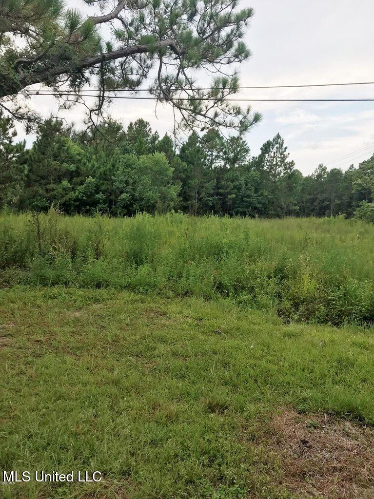 357 Rosehart Avenue, Pass Christian, Mississippi image 2