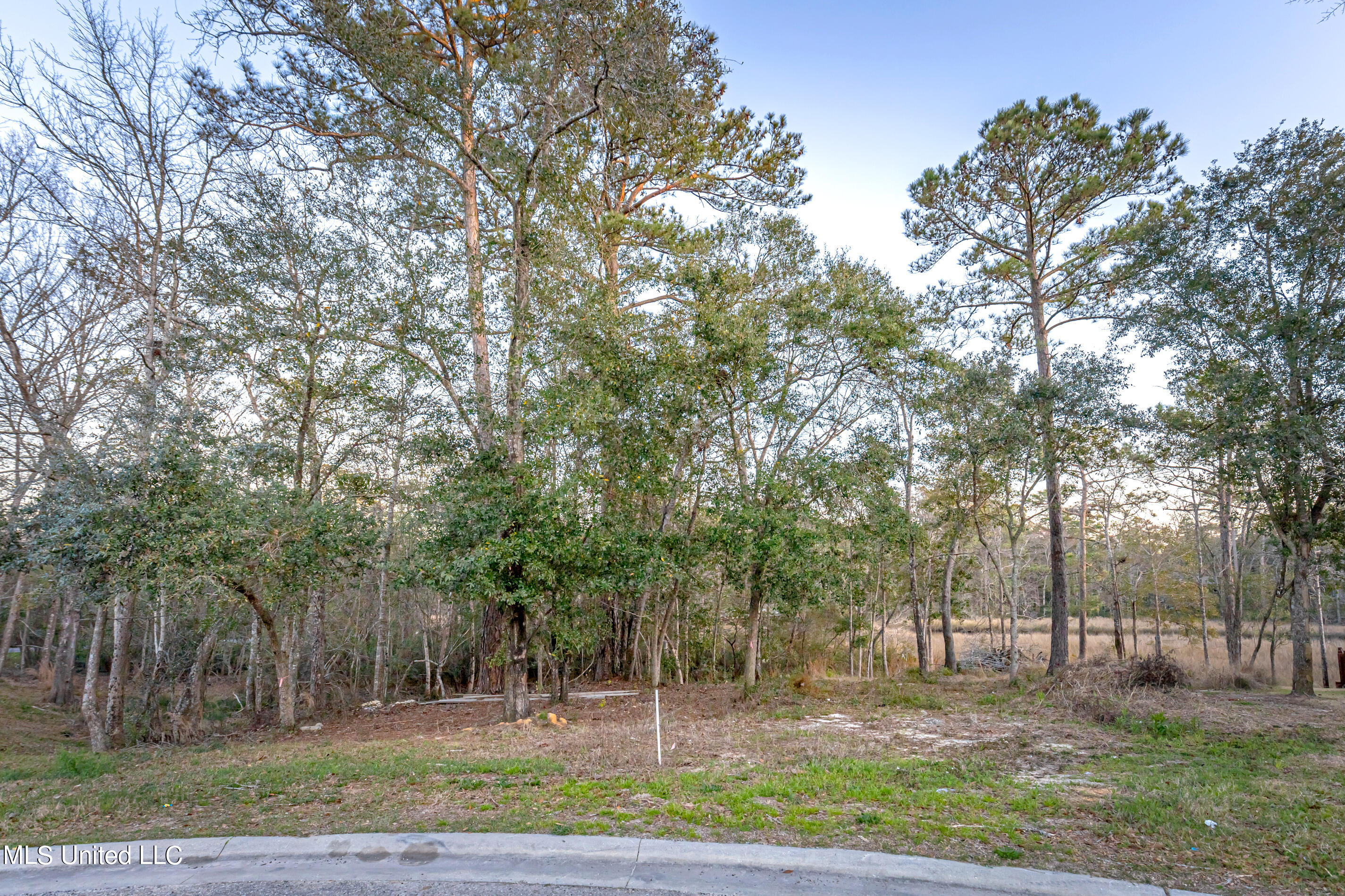 210 Bluff Cove, Ocean Springs, Mississippi image 12