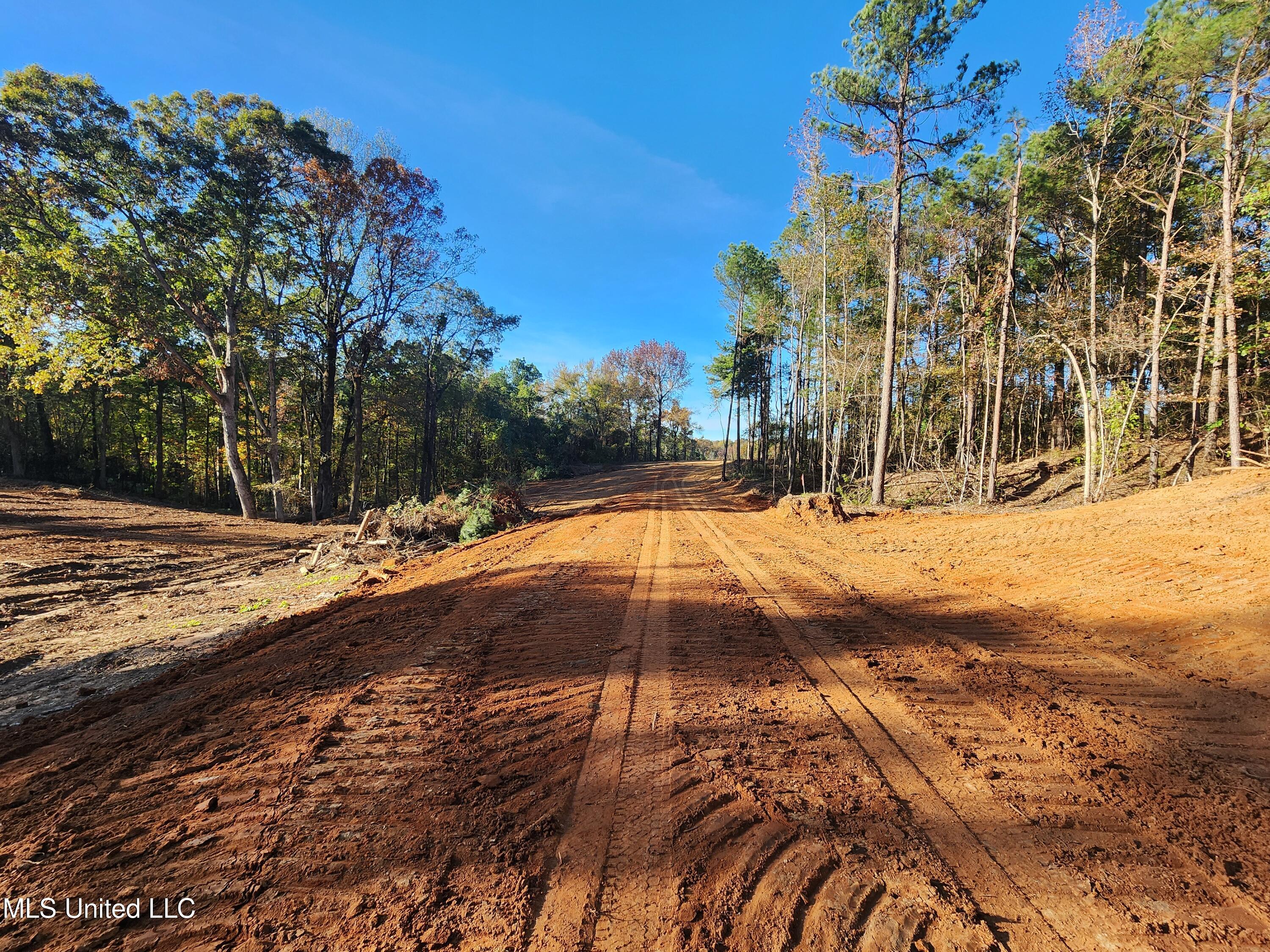 7 Tyro Branch Cove, Senatobia, Mississippi image 3